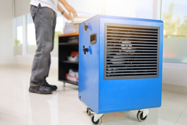 Best Post-Remediation Verification Testing  in Glen Ridge, NJ